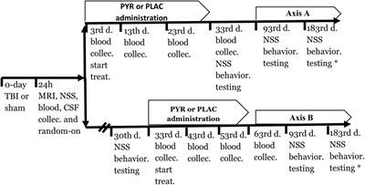 Blood Glutamate Scavenging With Pyruvate as a Novel Preventative and Therapeutic Approach for Depressive-Like Behavior Following Traumatic Brain Injury in a Rat Model